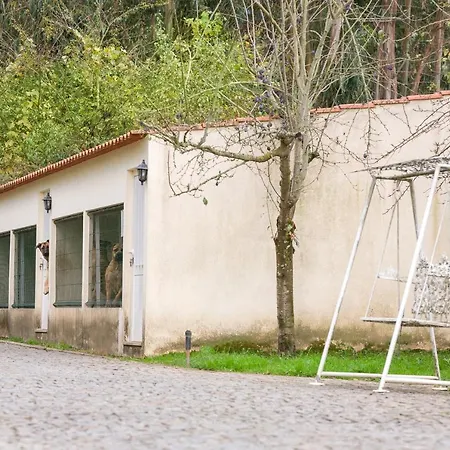 Majestic Manor In With Private Pool Valenca