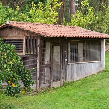 بيت للعطل Majestic Manor In With Private Pool