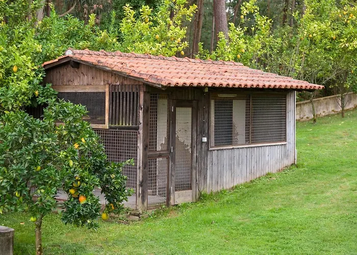 Casa vacanze Majestic Manor In With Private Pool